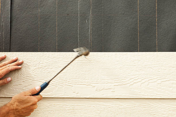Professional Siding in Nanticoke, PA